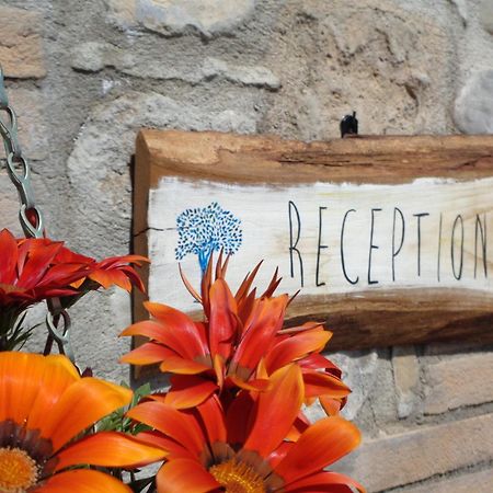 La Locanda Dell'Olmo Orvieto Zewnętrze zdjęcie