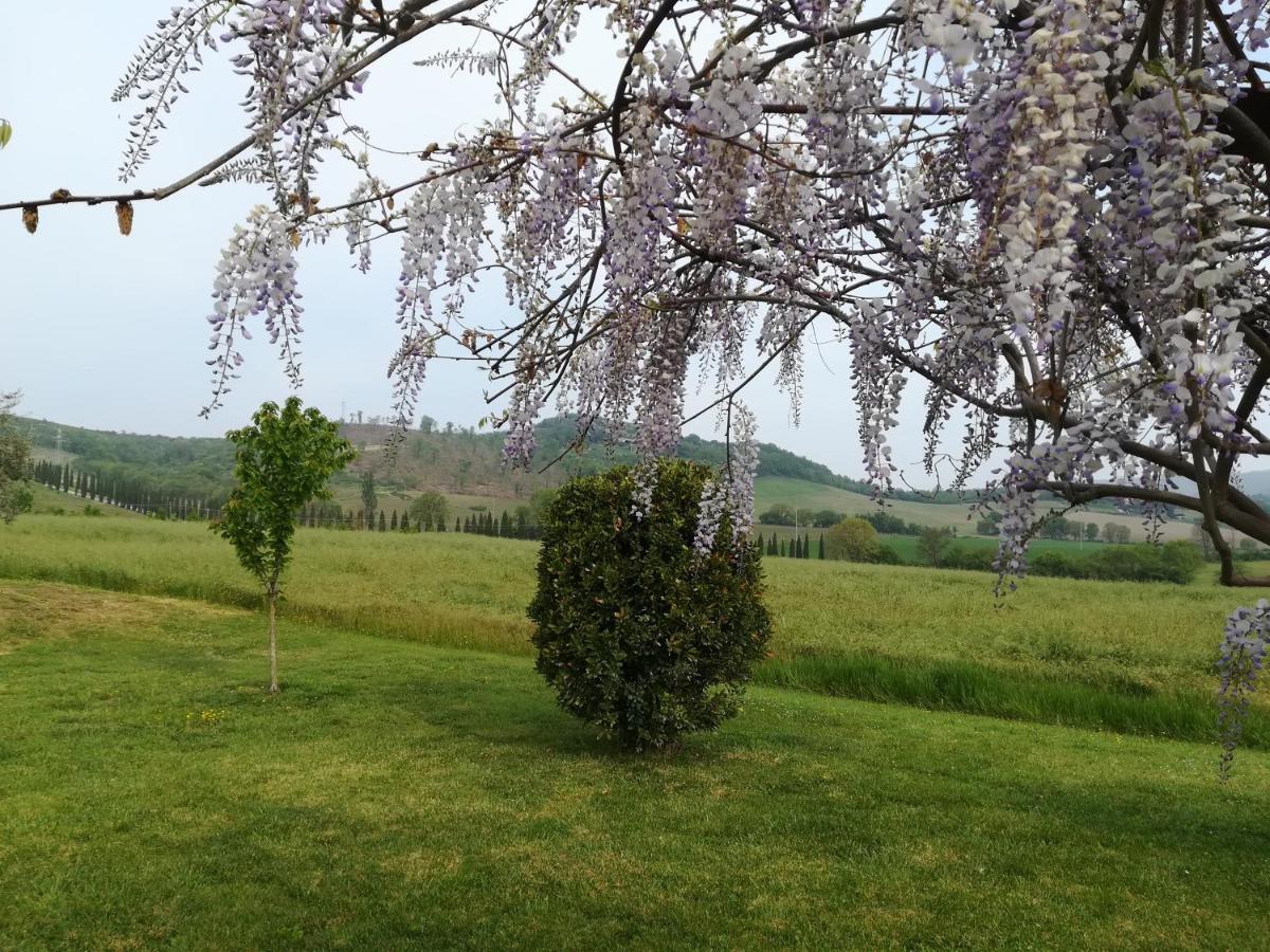 La Locanda Dell'Olmo Orvieto Zewnętrze zdjęcie