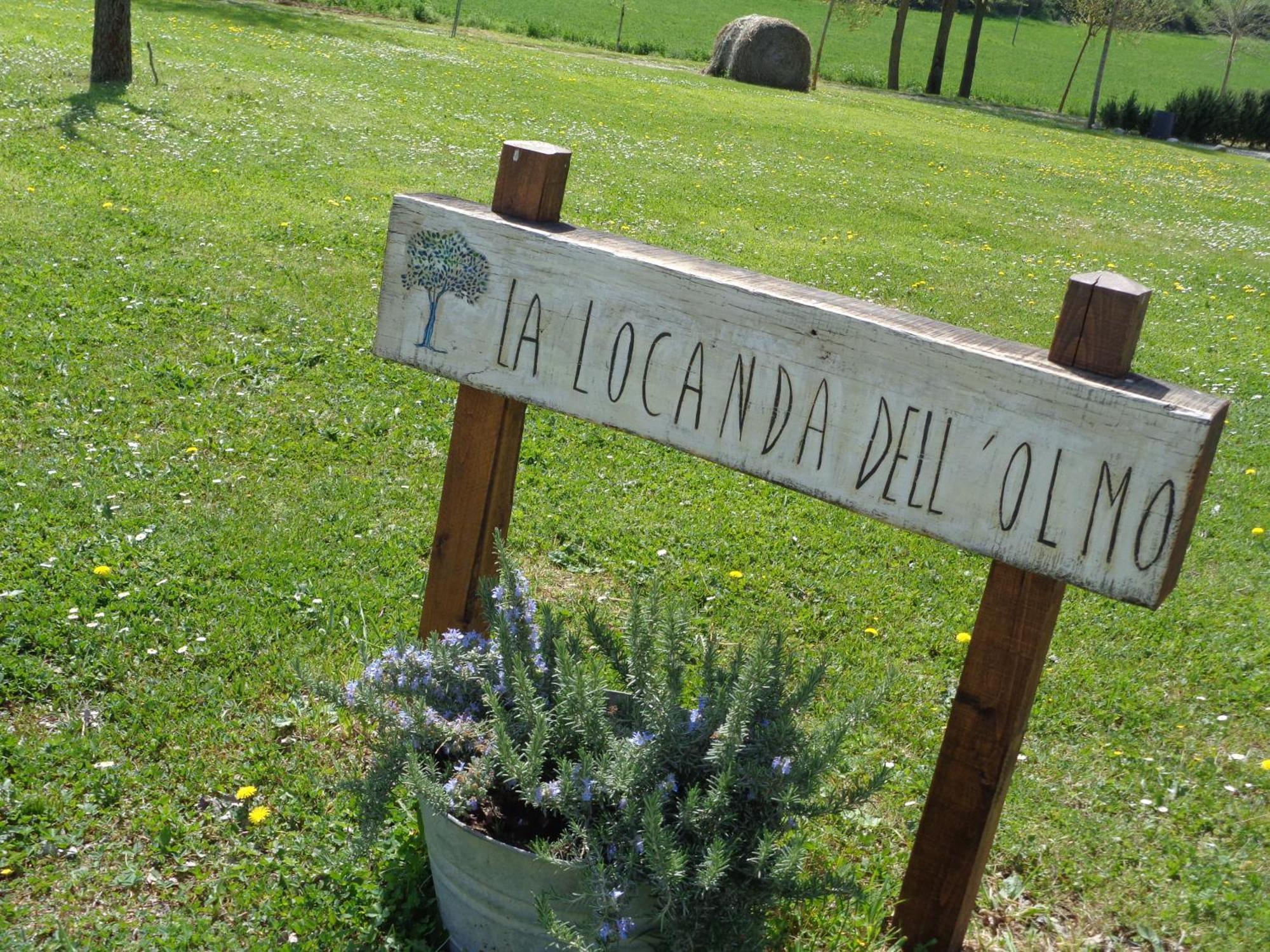 La Locanda Dell'Olmo Orvieto Zewnętrze zdjęcie