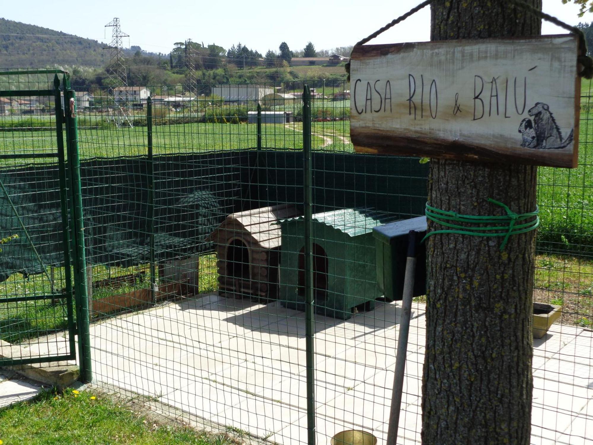 La Locanda Dell'Olmo Orvieto Zewnętrze zdjęcie